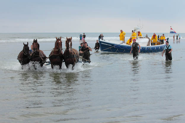 laatste boot ameland reddingsbootpaarden redden reddingsboot van ameland laatste boot ameland reddingsbootpaarden redden reddingsboot van ameland