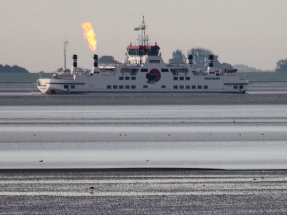 boot naar ameland adres met de vlam in de pijp naar ameland ameland nieuws boot naar ameland adres met de vlam in de pijp naar ameland ameland nieuws