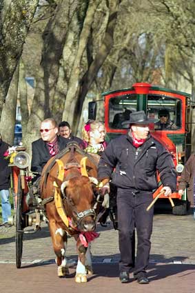 ameland koe trouwen foto Jan Spoelstra