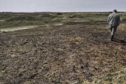 ameland foto jan speolstra