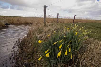 ameland foto janspoelstra.nl