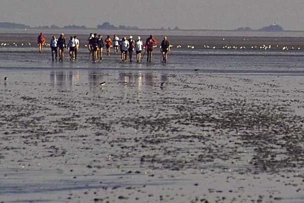 ameland.biz jan spoelstra waddengebied zakenkrant