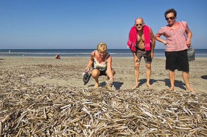 Voor fotografie en persberichten vanaf ameland: www.janspoelstra.nl