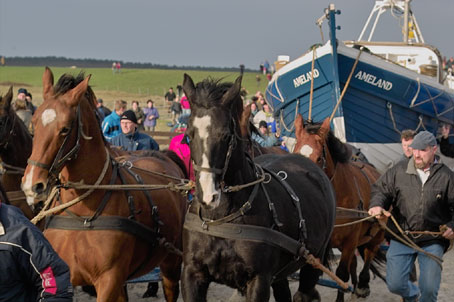 Voor fotografie op ameland: www.janspoelstra.nl