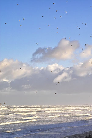 Ameland (&copy;2005 Jan Spoelstra / e-comm.nl