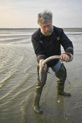 Voor fotografie op ameland: www.janspoelstra.nl