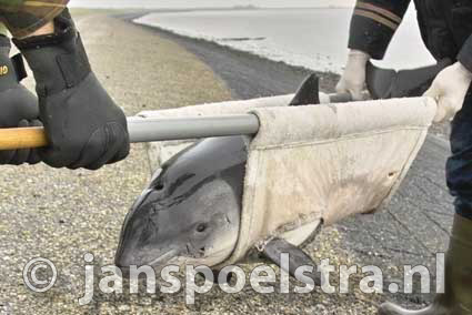 Ameland (&copy;2003 Jan Spoelstra / e-comm.nl