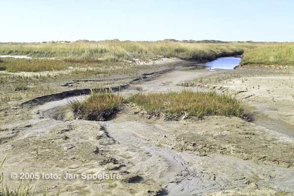 Ameland (&copy;2005 Jan Spoelstra / e-comm.nl