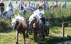 Ameland (&copy;2004 www.janspoelstra.nl