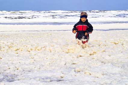 Ameland (�2005 Jan Spoelstra  / e-comm.nl