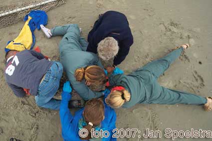 Voor fotografie op ameland: www.janspoelstra.nl